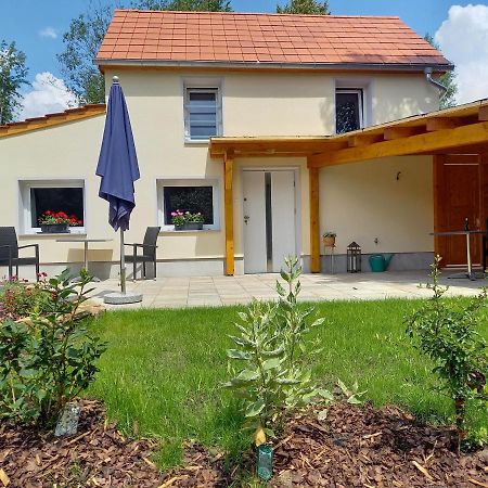 Ferienhaus Richtermuehle Sebnitz Extérieur photo