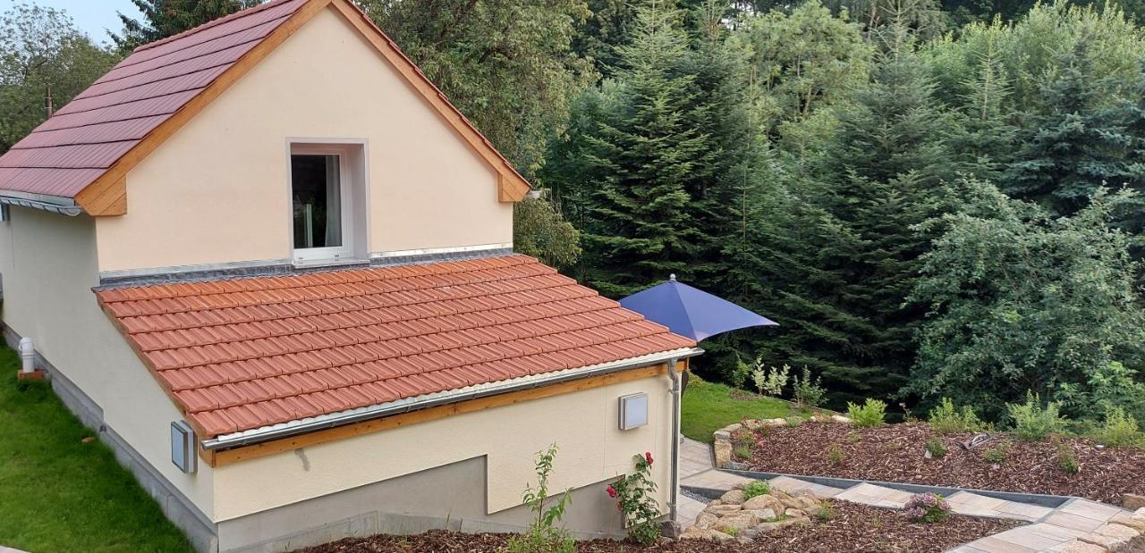 Ferienhaus Richtermuehle Sebnitz Extérieur photo