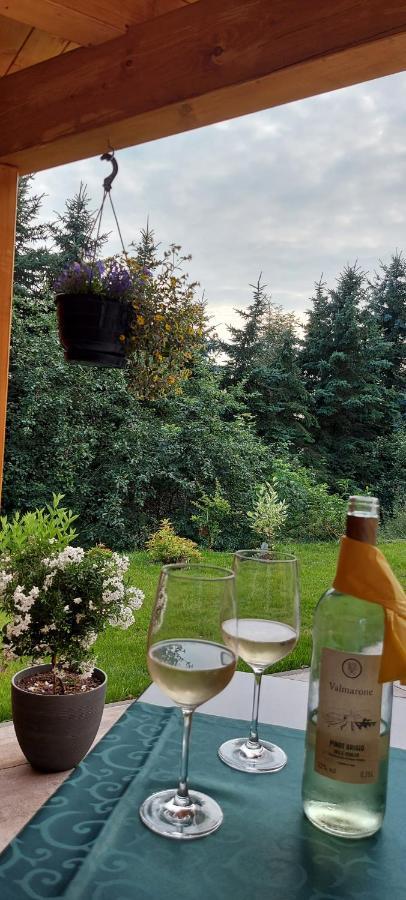 Ferienhaus Richtermuehle Sebnitz Extérieur photo